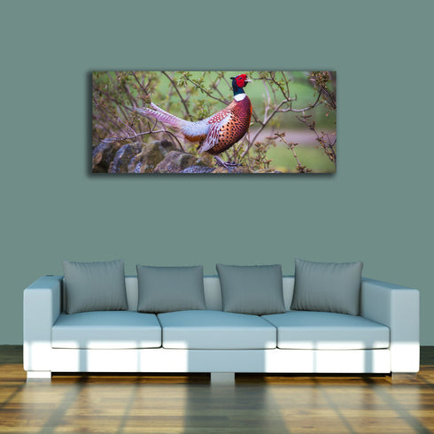 PANORAMIC - The Perfect Pheasant - 1.2m x 50cm